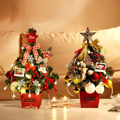 Mini Christmas Tree with Lights