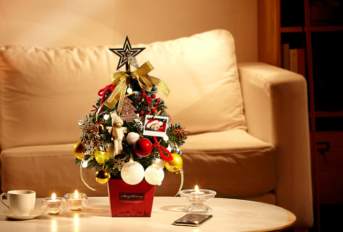 Mini Christmas Tree with Lights