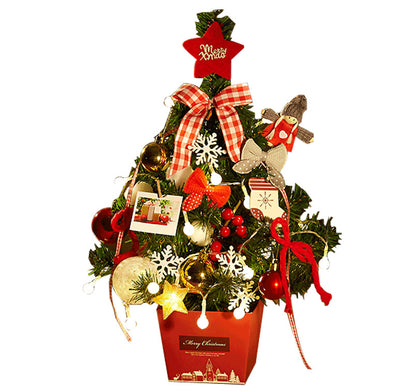 Mini Christmas Tree with Lights